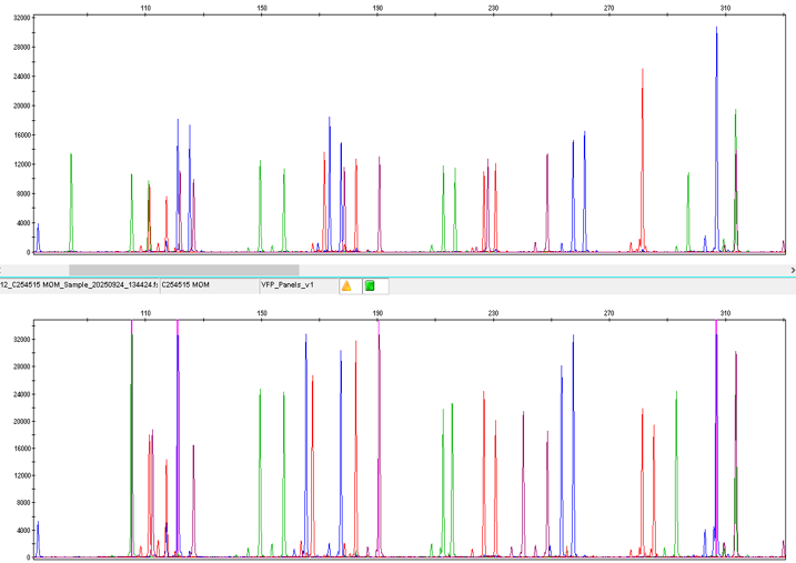 Capillary electrophoresis